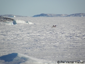 Slædepatruljen Sirius på vej mod Danmarkshavn